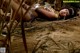 A woman laying on the ground in the sand.