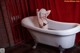 A woman in a bathtub with a red curtain behind her.